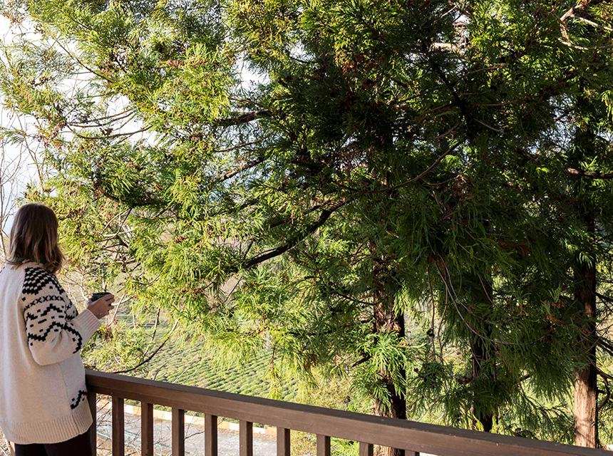 Loidevilla - İç Mekan