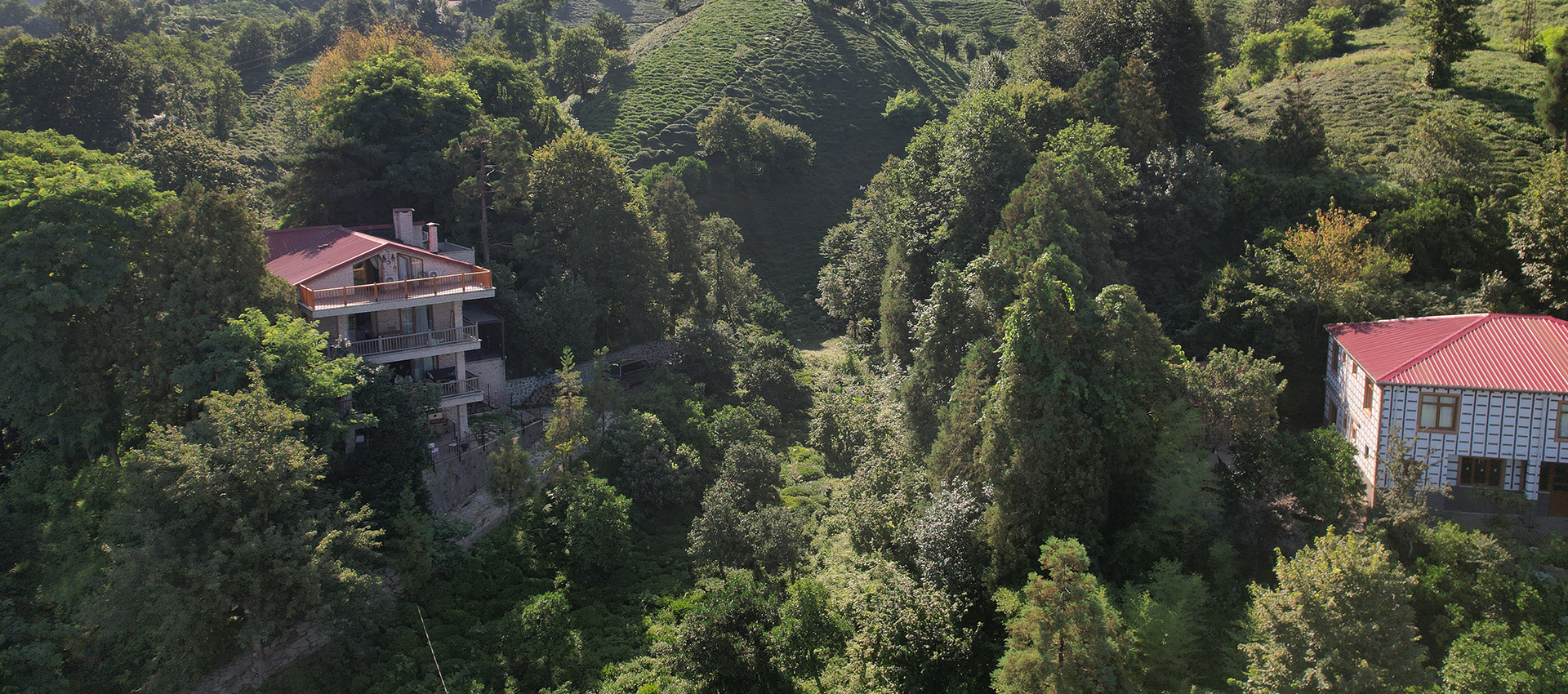 Loidevilla - Doğanın İçinde